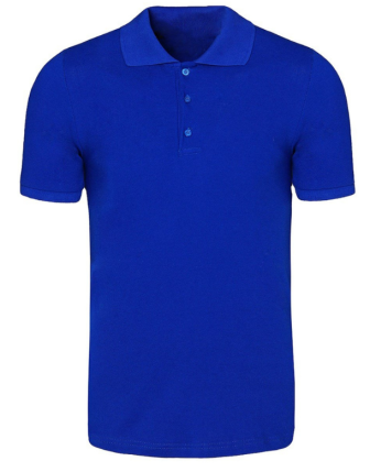 Polo Yaka Mavi T-Shirt
