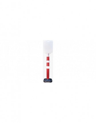 Küçük Başlıklı Dikme Duba